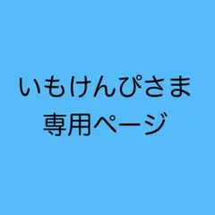 いもけんぴさま専用　オーダー巾着2個