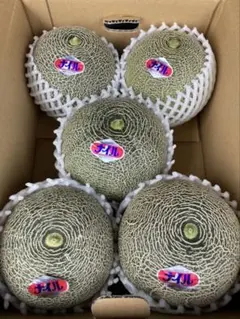 入荷しました！幻のメロン　ナイルメロン　2Lサイズ　5玉2箱　送料込み 入荷しました！幻のメロン ナイルメロン 2Lサイズ 5玉 送料込み - メルカリ