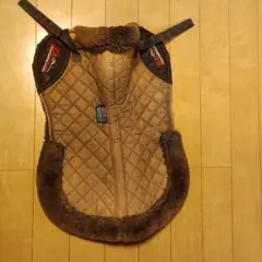 Item thumbnail for item 70873abd-5dad-42db-aa25-852c4cf01f3a