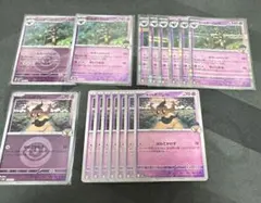 ホップのオーロット ホップのボクレー 進化ラインセット