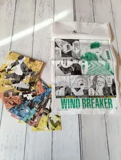 WIND BREAKER ポストカードセット