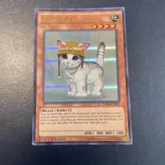 DUSA-EN072 Rescue Cat レスキューキャット 1st