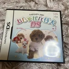 かわいい仔犬DS