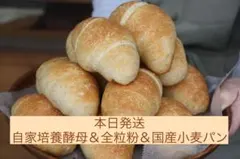 本日発送　3品出品　国産小麦&全粒粉&自家酵母　ロスパンセット③のサムネイル