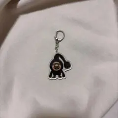 こびとづかん アクリルキーホルダー カクレケダマ