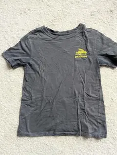 Patagonia グレー Tシャツ 12歳