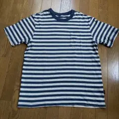 Patagonia ストライプ Tシャツ
