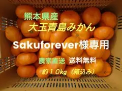 Sakuforever様専用　熊本県産　大玉青島みかん　箱込み約１０kg