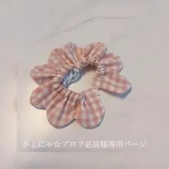 かとにゃ☆プロフ必読様専用ページ