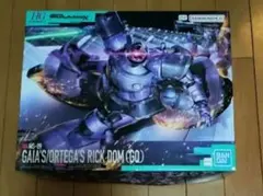 機動戦士ガンダム(GQuuuuuX)プラモデル(HG)MS-09リックドム
