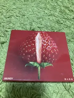 Vaundy 鮮の勇者 CD