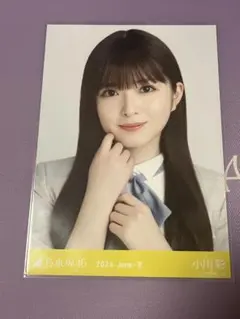 AKB48 山本彩 生写真 サムネイル 劇場盤 封入特典 4種セット AKB48 山本彩 生写真 恋するフォーチュンクッキー 劇場盤 店舗特典
