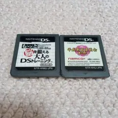 ニンテンドーDS ソフト 平成教育委員会 脳を鍛える大人の DS トレーニング