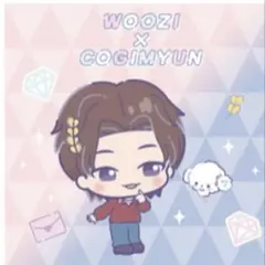 WOOZI 缶バッジ アクリル WOOZI 缶バッジ アクリル