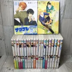 貴重!?】氷の城壁 全14巻 完結 全巻 初版 帯付き 特典付き - メルカリ