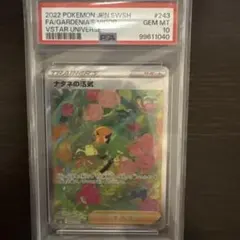 ナタネの活気 sar psa10