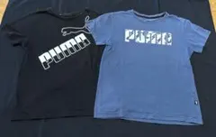 子供服　男の子　Tシャツ　150 PUMA　 2点　①