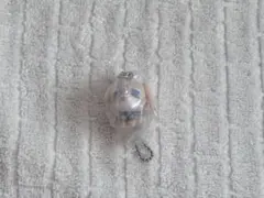 お茶犬 ふわふわフロッキーマスコット チャイ