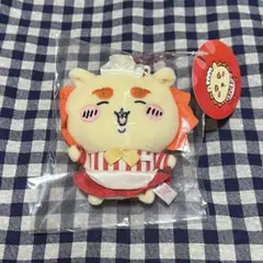 ✧ ホール担当なマスコット シーサー