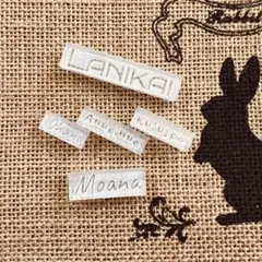 Item thumbnail for item 11f2f356-acc1-475e-886a-ae8a21191eaf