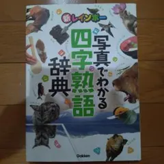 新レインボー 写真でわかる四字熟語辞典 学研のサムネイル
