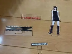 チェウォン アイドル