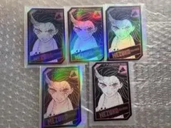 鬼滅の刃　キャラクターズホロカードコレクション　竈門禰豆子