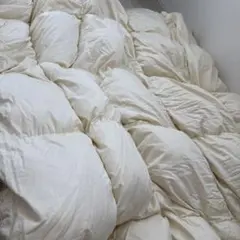 Item thumbnail for item 62ffe829-b0d6-44d7-9b36-2a9c23677eec