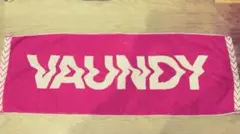 Vaundy ロゴジャガードタオル ピンク×ホワイト ライブグッズ バウンディのサムネイル
