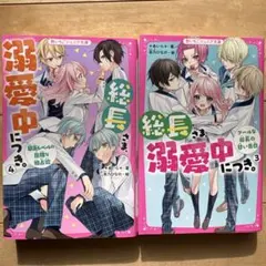 総長さま、溺愛中につき。 3巻 4巻 セット