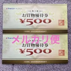 ヤマダ電機　YAMADA HLDGS. お買物優待券 ¥500×2枚