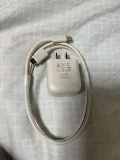 USB-C充電ケーブル 2ピンプラグ