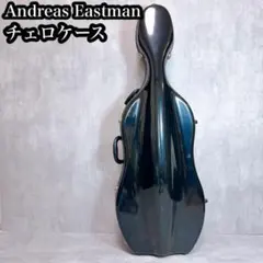 2026年最新】チェロケース イーストマンの人気アイテム - メルカリ