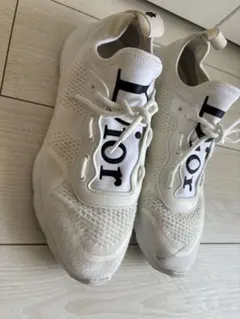 DIOR 19 ELS 42 メンズシューズ　箱無しのサムネイル