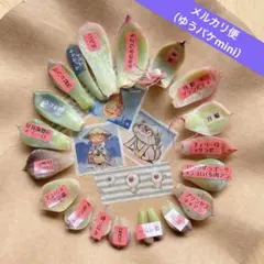 (メルカリ便)　年末SALE！増量中♡　　　　　多肉植物　葉挿しセット