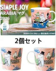 【新品】ムーミンバレーパーク限定　アラビア　ムーミンマグカップ　2個　ペア