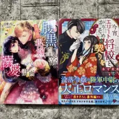 TL小説2冊 - メルカリ