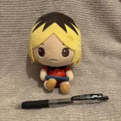 孤爪研磨　ぬいぐるみ