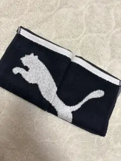 新品　PUMA プーマ　ハンドタオル　手拭き　ハンカチ　ウォッシュタオル　2枚のサムネイル
