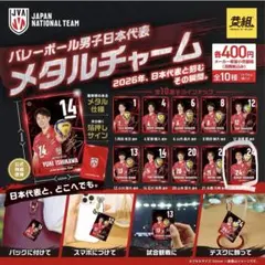 バレーボール男子日本代表 メタルチャーム 高橋慶帆 24番