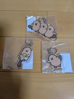 ラッコズ×newstyles（ヴィレッジヴァンガード）アクリルキーホルダー3個のサムネイル