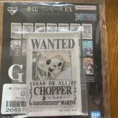 One Piece acrylic Chopperのサムネイル