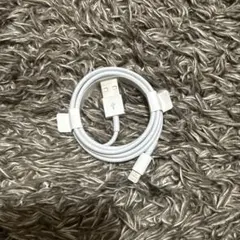 Apple Lightning – USB-A ケーブル　タイプA　純正