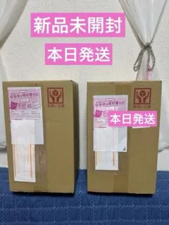 2点セット Pokemon ファイアレッド リーフグリーン 特別版