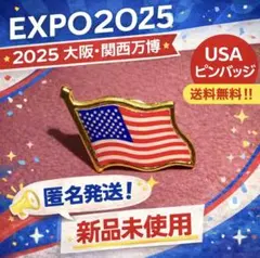 2026年最新】アメリカパビリオンピンバッジの人気アイテム - メルカリ