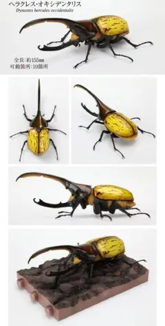 Item thumbnail for item 6b24b647-dbbd-4eaf-a2a0-0f730efde0f0