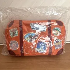 東京ディズニーリゾート　バケーションパッケージ　非売品　ブランケット　バケパ