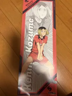 ハイキュー!! 研磨孤爪 ポスター