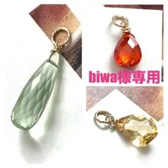 biwa様 リクエスト 3点 まとめ商品