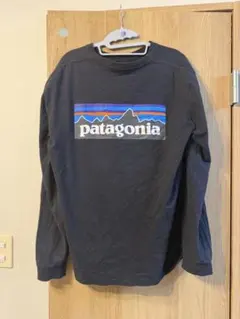 お*ち様 patagonia ブラック 長袖Tシャツ
